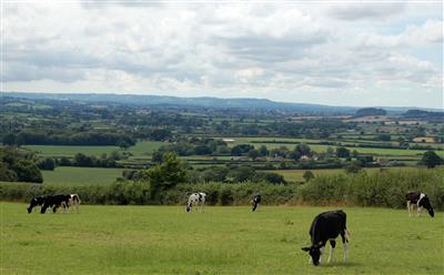 Southern Blackmore
